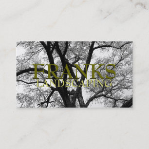 Beaux cartes de visite de nature d'arbres