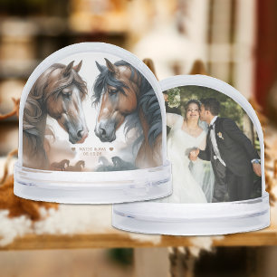 Beaux Chevaux Ajouter Photo Dome
