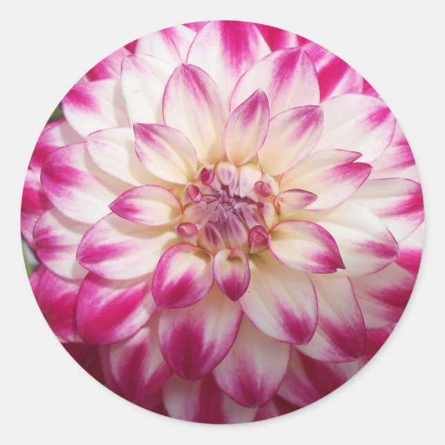 Beaux Classic Round Sticker (Front)