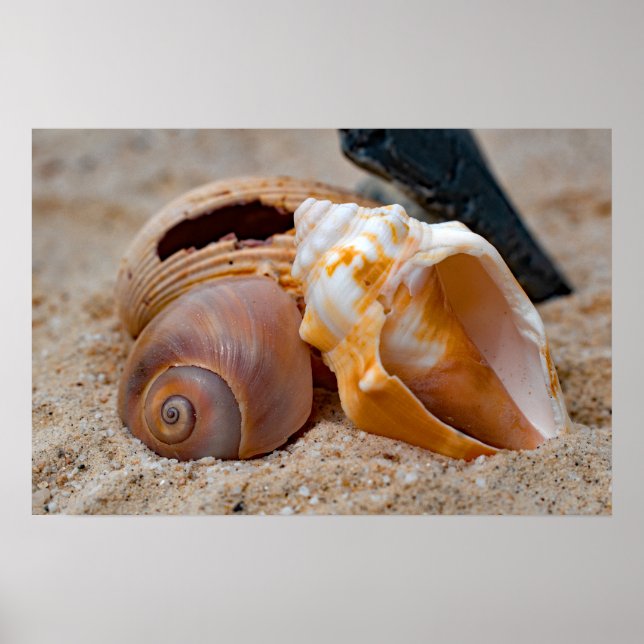 Beaux de plage cassées #2 Poster (Devant)
