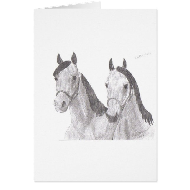 Beaux dessins de cheval de juments (Devant)