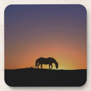Beaux Dessous de verre à cheval
