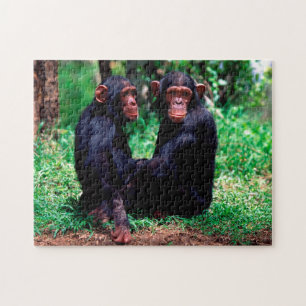 Beaux frères Chimpanzé, Puzzle de Jigsaw