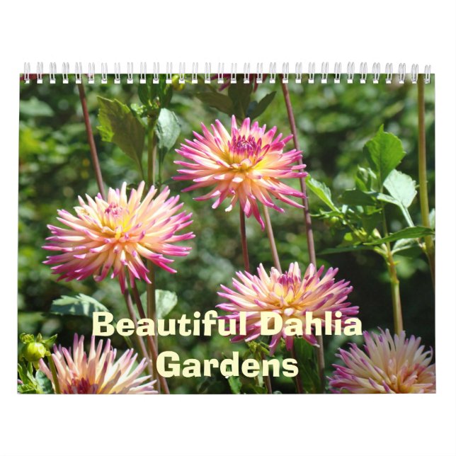 Beaux Jardins de Dahlia Calendriers Photos florale (Protection)