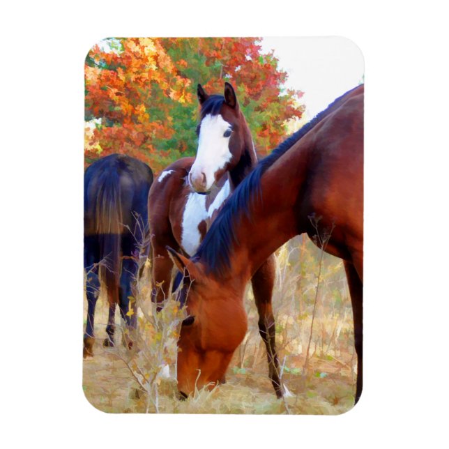 Beaux Magnets de chevaux (Vertical)