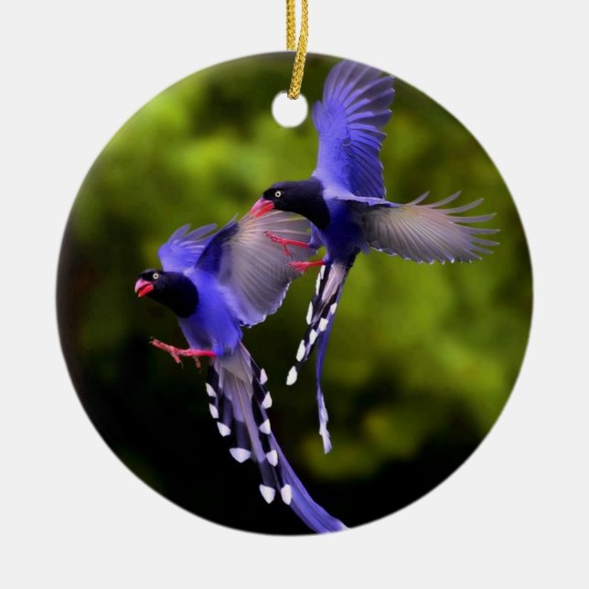 Beaux oiseaux en vol ornement d'arbre de Noël (Devant)