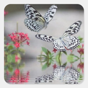 Beaux papillons dans le jeu de stickers de vol