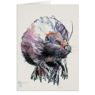 Beaver 2001