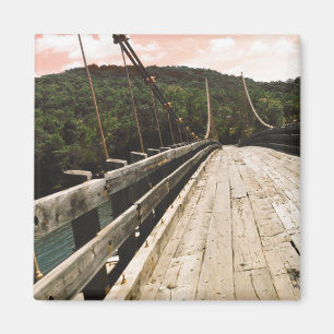 beaver bridge magnet