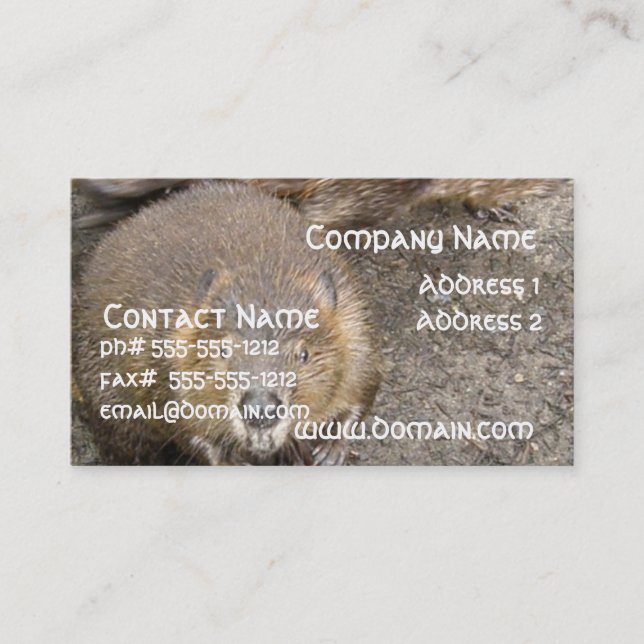 Beaver Design Business Card (Front)