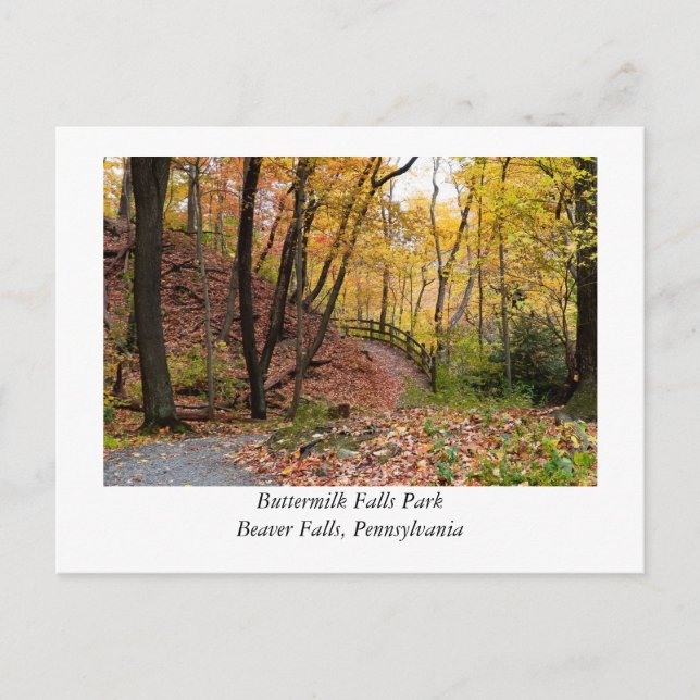 Beaver Falls Pennsylvania Postcard (Front)