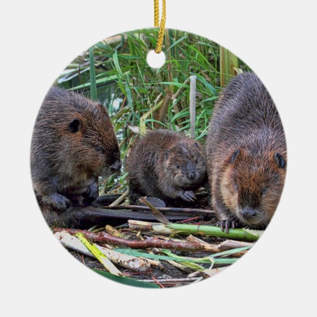 Beaver Family Ceramic Ornament (Front)