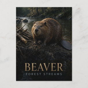 Beaver Forest Streams Wildlife ANIMAL Postcard