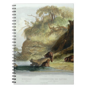 Beaver Hut on the Missouri, plate 17 from volume 1 Notebook
