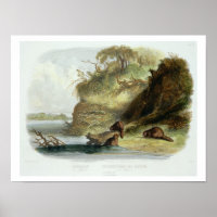 Beaver Hut on the Missouri, plate 17 from volume 1