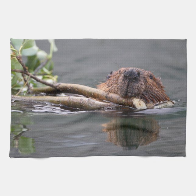 beaver kitchen towel (Horizontal)