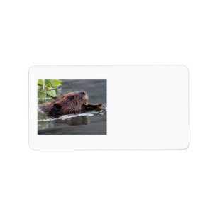 beaver label
