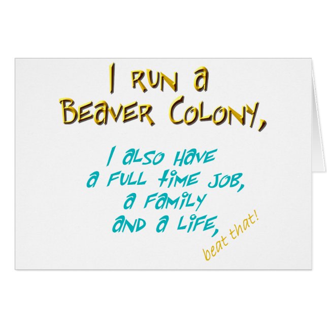 beaver leader turquoise (Front Horizontal)