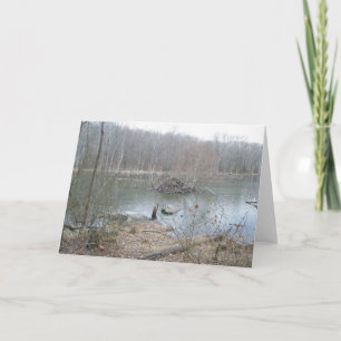 Beaver Lodge Note Card