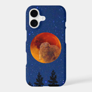 Beaver Moon in November