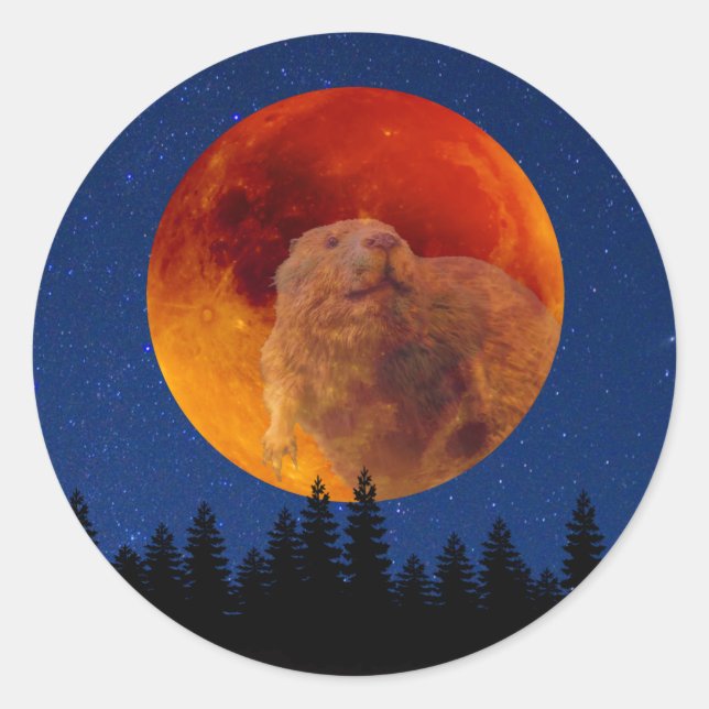 Beaver Moon in November Classic Round Sticker (Front)