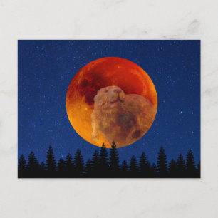 Beaver Moon in November Postcard