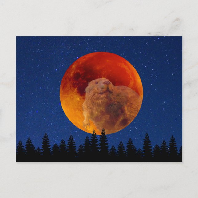 Beaver Moon in November Postcard (Front)