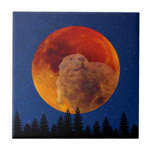 Beaver Moon in November Tile