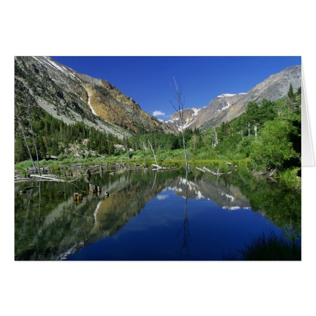 Beaver Pond, canyon Lundy (Devant Horizontal)