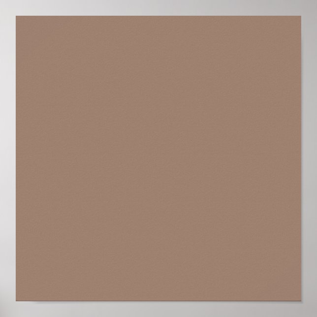 Beaver  (solid color)  poster (Front)