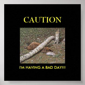 Beaver's Bad Day Poster