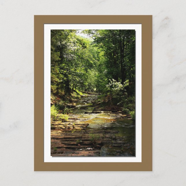 Beavers Bend State Park photo postcard (Front)