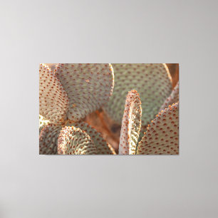 Beavertail Cactus  Canvas Print