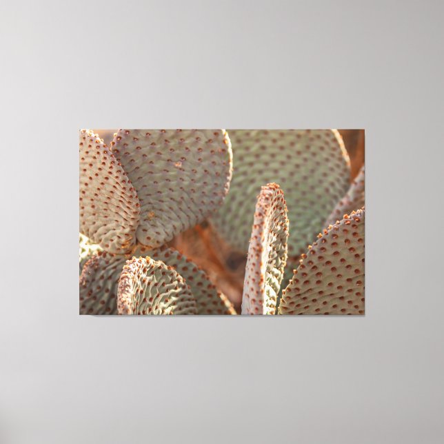 Beavertail Cactus  Canvas Print (Front)
