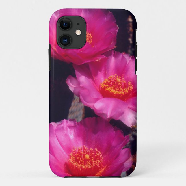 Beavertail Cactus Flowers 2 Case-Mate iPhone Case (Back)