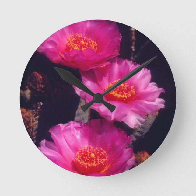 Beavertail Cactus Flowers 2 Round Clock (Front)