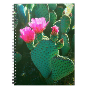 Beavertail Cactus Flowers Notebook