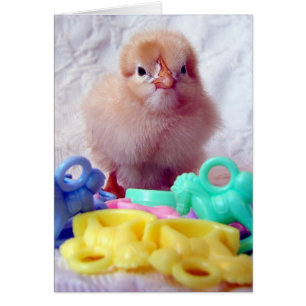 Bébé