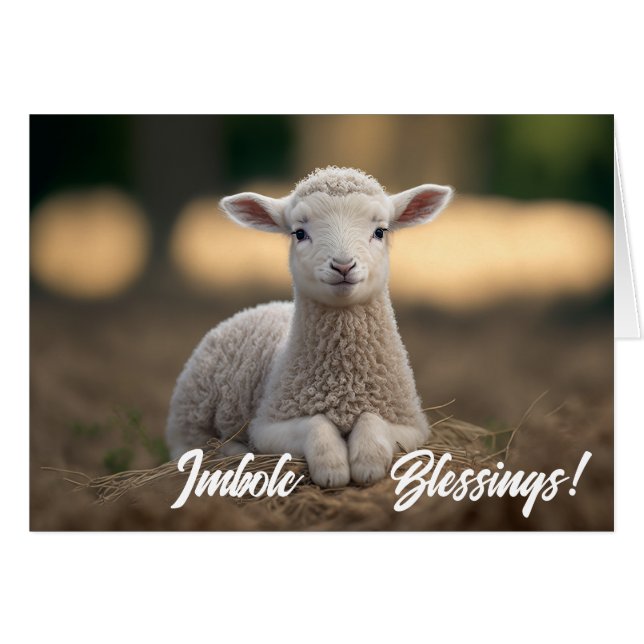 Bébé agneau Imbolc Bénédictions (Devant horizontal)