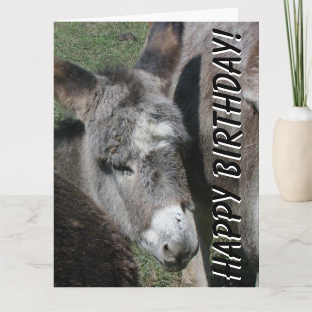 Bébé âne Anniversaire Grande carte de voeux (Devant)