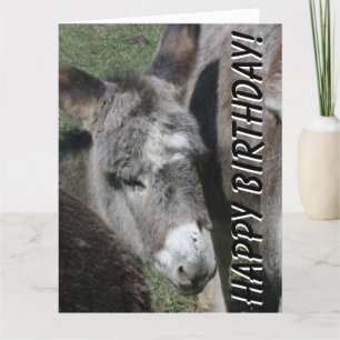 Bébé âne Anniversaire Grande carte de voeux