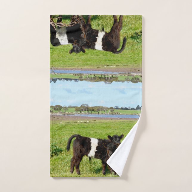 Bébé Belted Vaches Galloway Dans Le Pays, (Serviette à main)