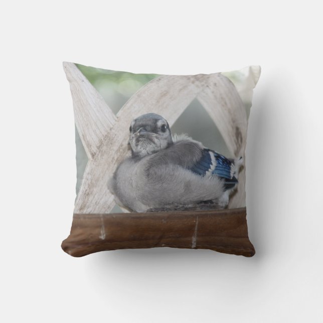 Bébé bleu Coussin Jay (Recto)