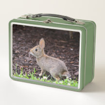 Bébé Bunny Métal Lunchbox