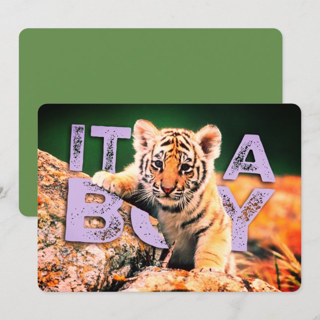 Bébé de Nick David - invitation de douche de tigre (Devant / Derrière)