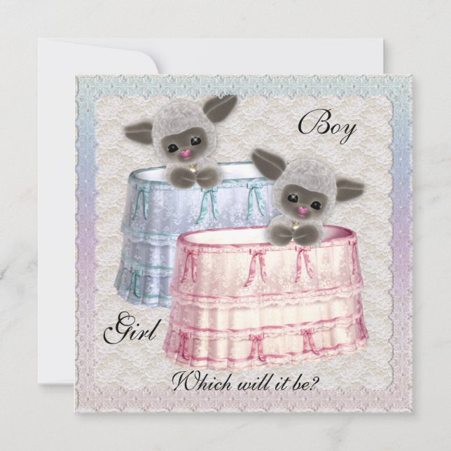 Bébé Genre Reveal Party Invitation (Devant)