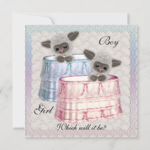 Bébé Genre Reveal Party Invitation