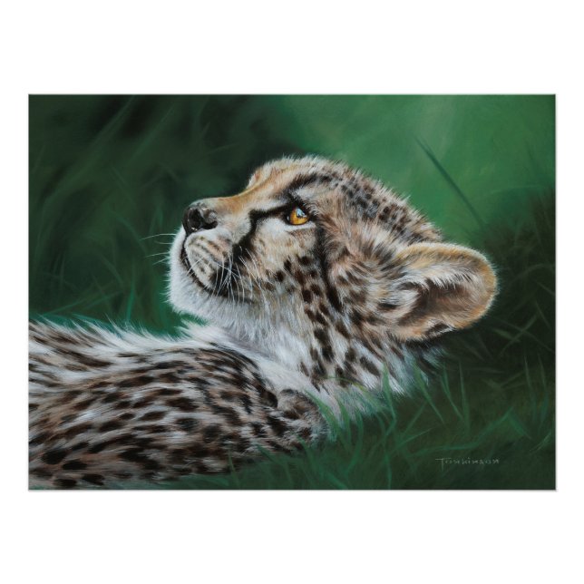 Bébé Guépard Poster (Devant)