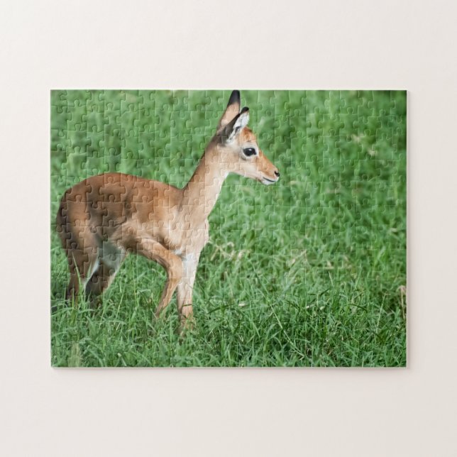 Bébé Impala dans Puzzle vert verdoyant (Horizontal)