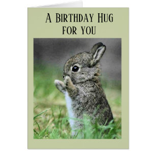 Bébé lapin Anniversaire câlin